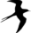 Andorinha